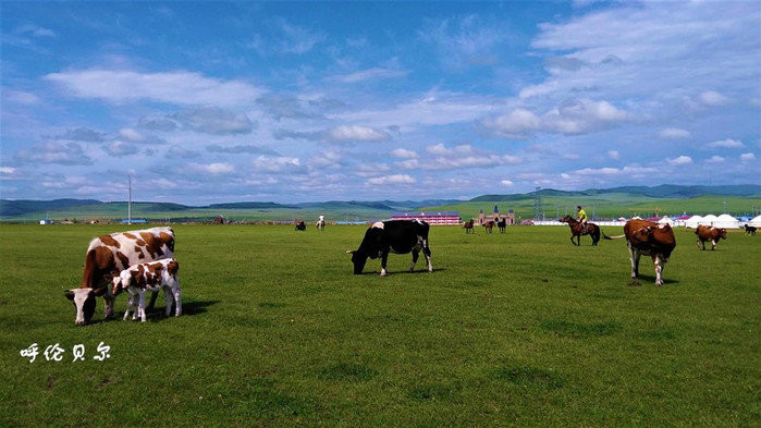 呼伦贝尔,地域文化与自然风光的交响乐章
